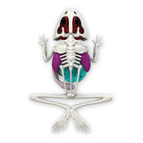 Joker Slimy Lab Dissect-It – Seziere einen Frosch