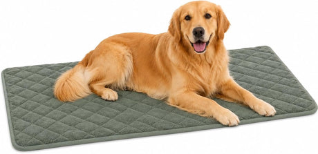 Flamingo-Hundekissen – orthopädisches Hundekissen – Bankkissen aus Memory-Schaum – Weimargrün XL – extra großes, bequemes Hundekissen – 116 cm