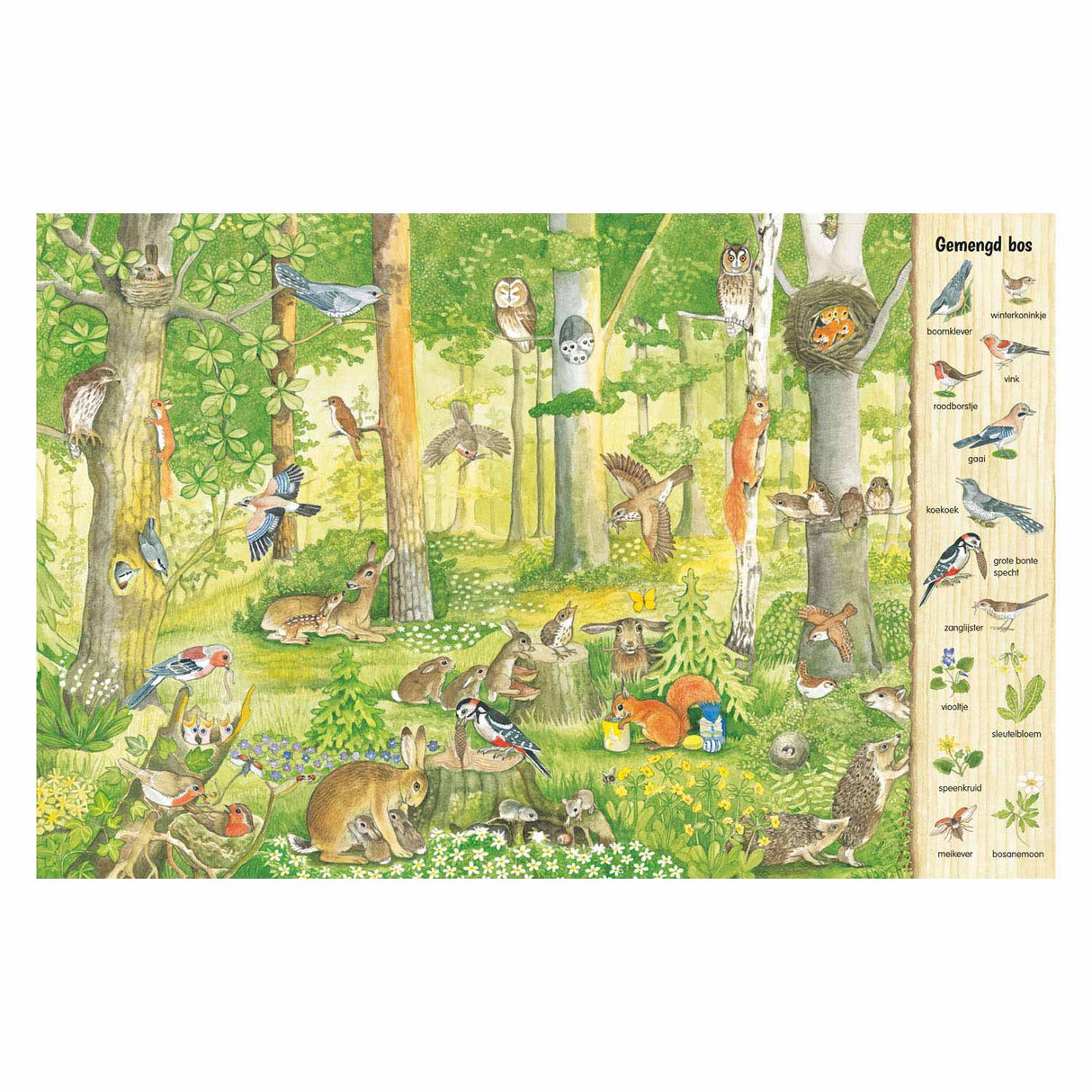 Deltas Such- und Suchbuch – im Wald