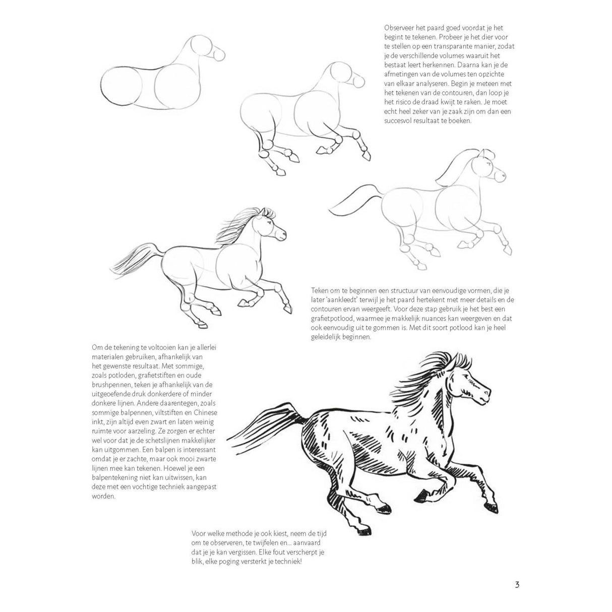 I delta imparano a disegnare cavalli passo dopo passo