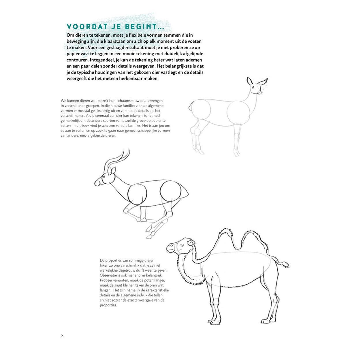 Deltas Learn to draw animals step by step