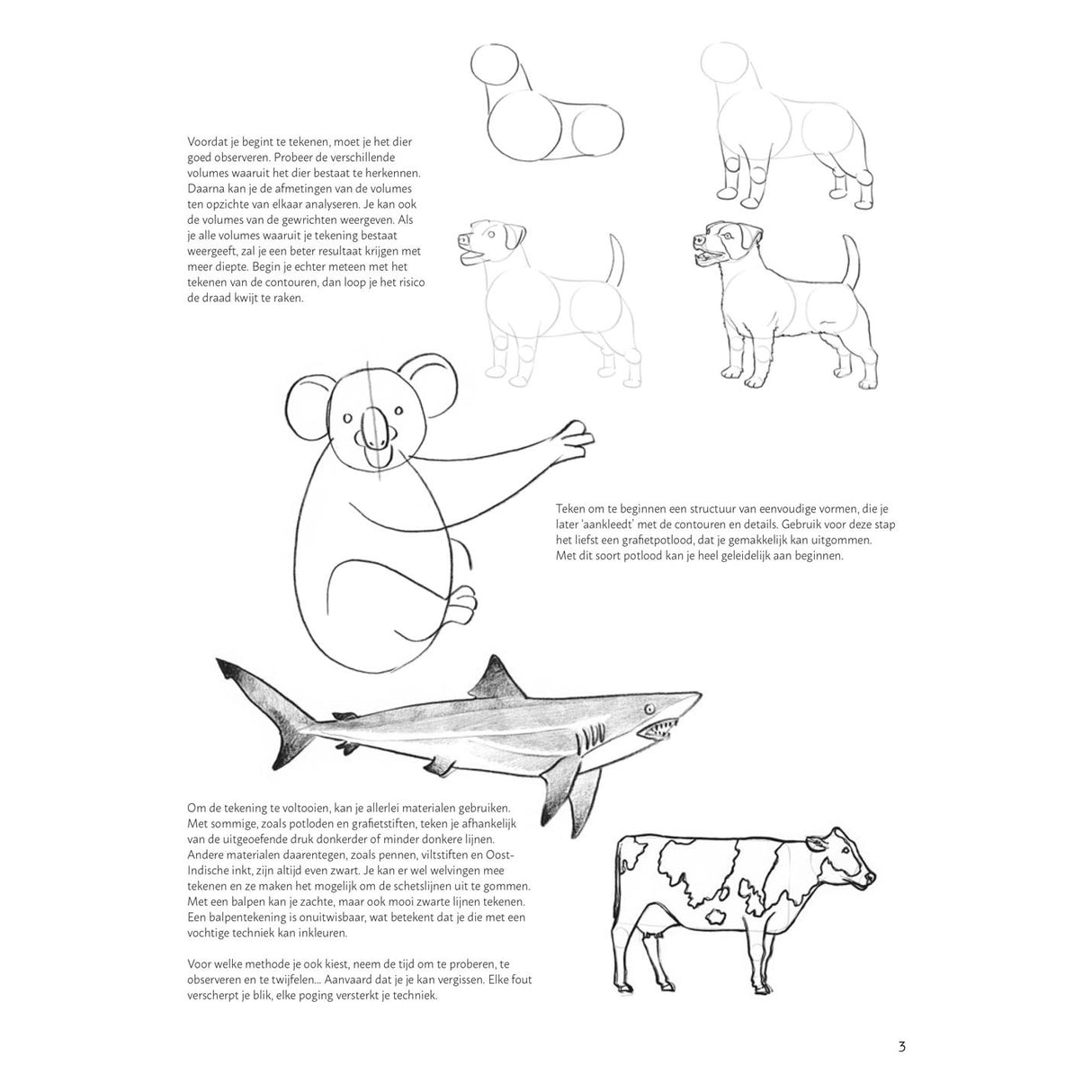 Deltas Learn to draw animals step by step