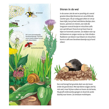 Deltas, die Tiere um uns herum, Pappbuch (2–4 J.)