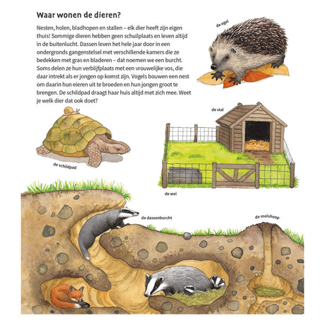 Deltas, die Tiere um uns herum, Pappbuch (2–4 J.)