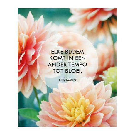 Deltas glauben an sich! - 52 Inspirationskarten
