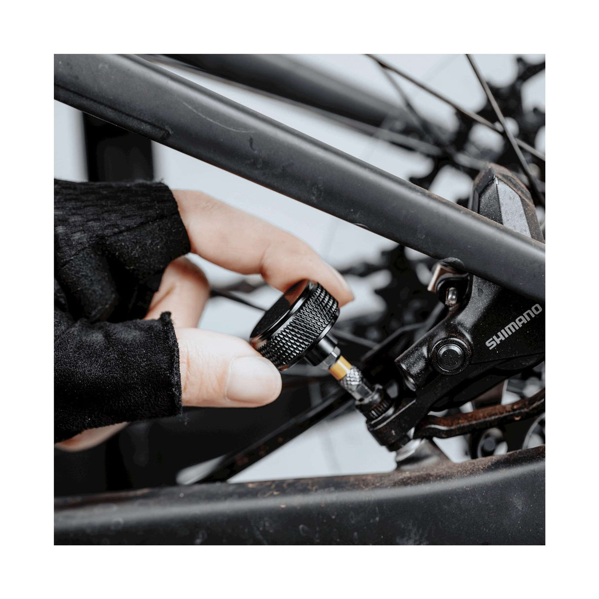 Topeak-Torq-Stick 2-10 nm Drehmomentschlüssel
