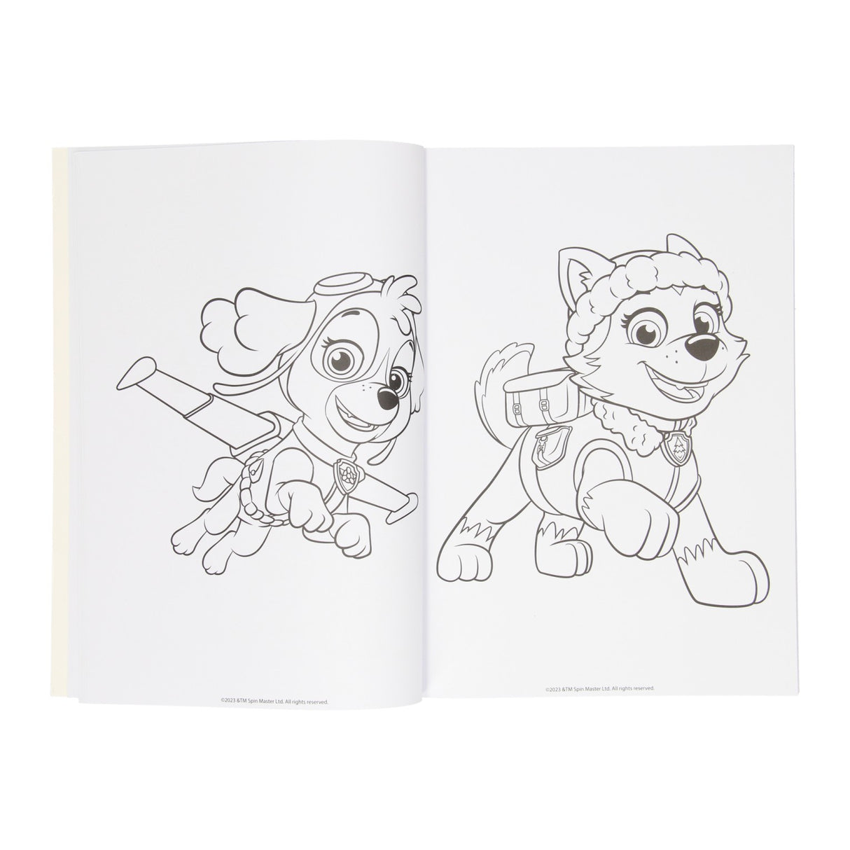 Wins Holland Malbuch Paw Patrol, 128 Seiten.