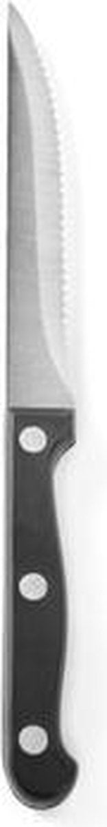Hendi steakmessen – profi line – roestvast staal – abs greep – 215 mm – set van 6