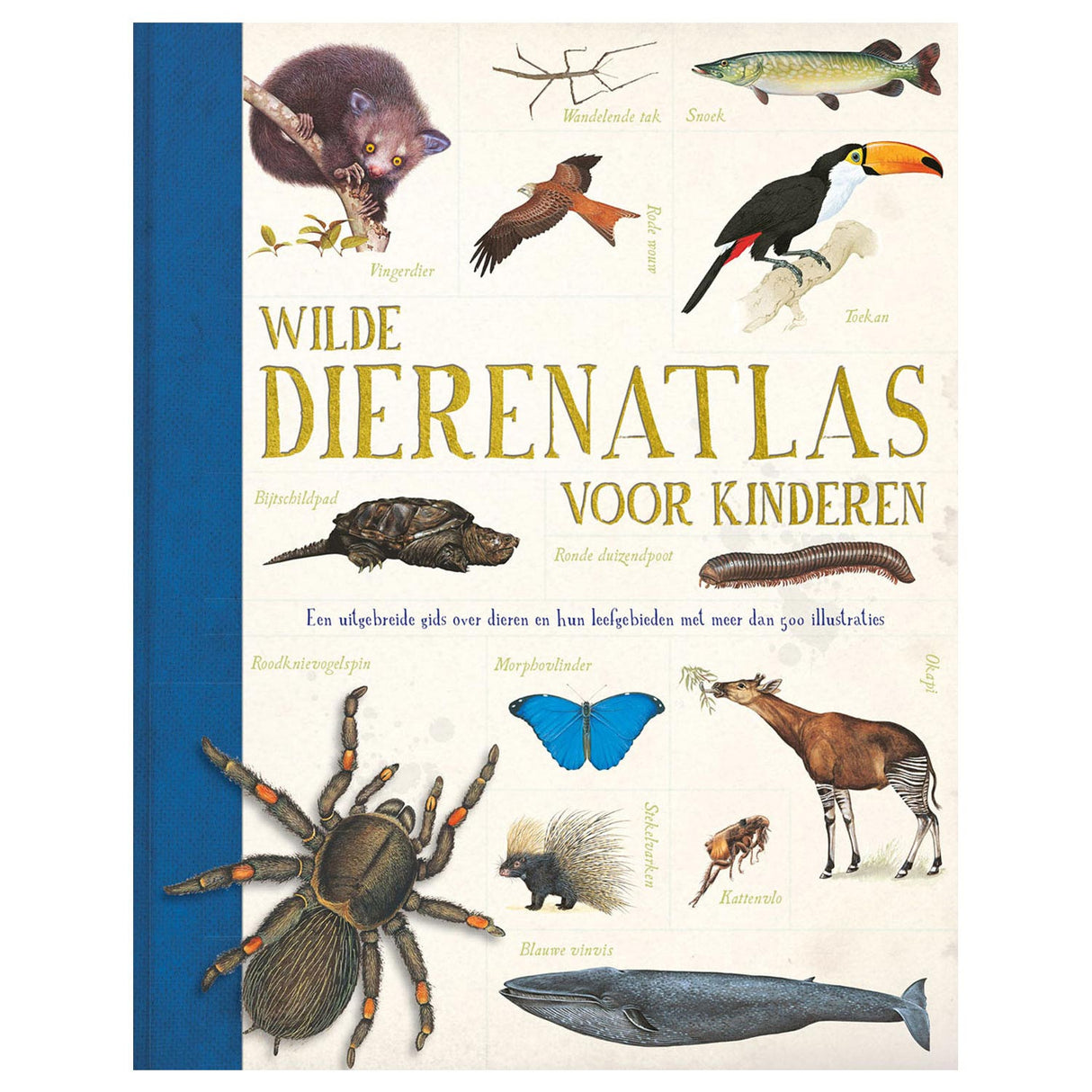 Robo Verëffentlecher Wild Diendatlas fir Kanner