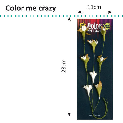 Petaloo • Color Me Crazy Blütenrankenspray
