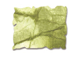 Ranger Tinte Ranger • Tim Holtz Distress Spray Stain abgelöste Farbe
