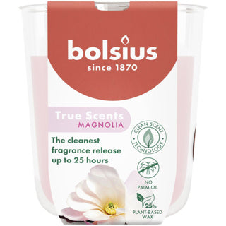 Bolsius | 3 Stück