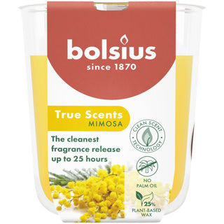 Bolsius | 3 Stück