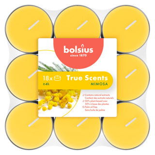 Bolsius | 4 Stück