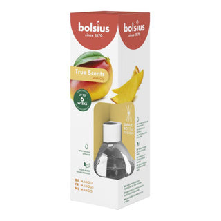 Bolsius | 3 Stück