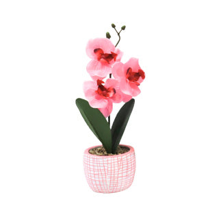 No brand künstliche Orchidee im Topf 28 cm 6-fach sortiert | 12 Stück