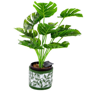 Kein Markentopf Olea Zylinder grün 11 cm | 6 Stück