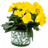 Kein Markentopf Olea Zylinder grün 11 cm | 6 Stück