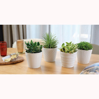 Bloempot keramiek 4 assorti | 4 stuks
