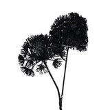 No brand Kunstblume Heracleum Countryfield LED schwarz 75 cm