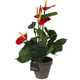 Edelman Kunstpflanze Anthurium rot im Topf