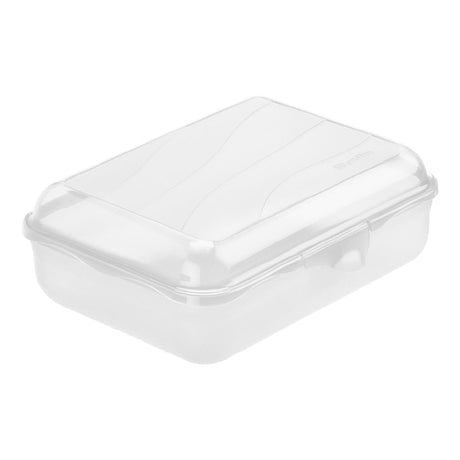 Rotho Lunchbox Fun 1,25l transparent