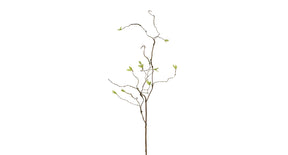 Krultak l90cm groen bruin