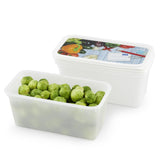 Rotho Gefrierboxen-Set 3-teilig 1,5l
