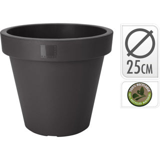 | 10 Stück