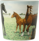 Wiebe van der Zee Wiebe's Farm Minibecher Pferd 23cl 6 Stk