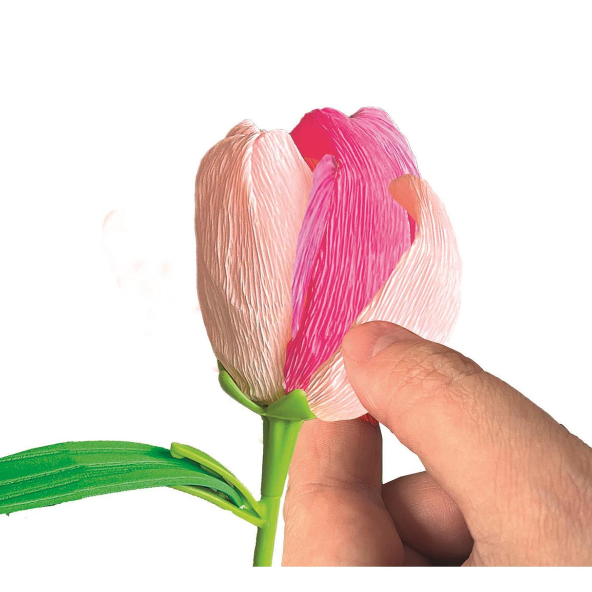 Clementoni kreiert Ihre Blumen – Tulpe