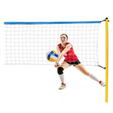 Pallavolo e set di badminton