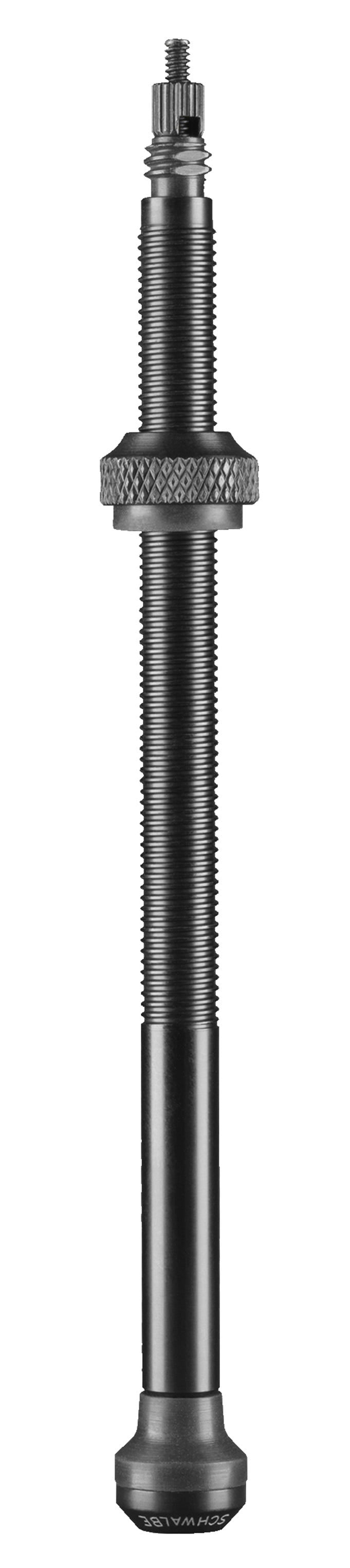 Tubeless Ventil Schwalbe 100 mm (2 Stücke)
