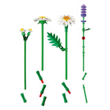 Lego Botanicals Gänseblümchen – Bausatz für Kinder – 11508