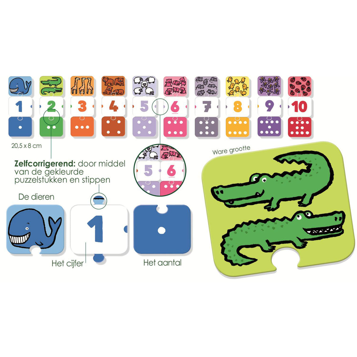 Jumbo I learn figures educational game