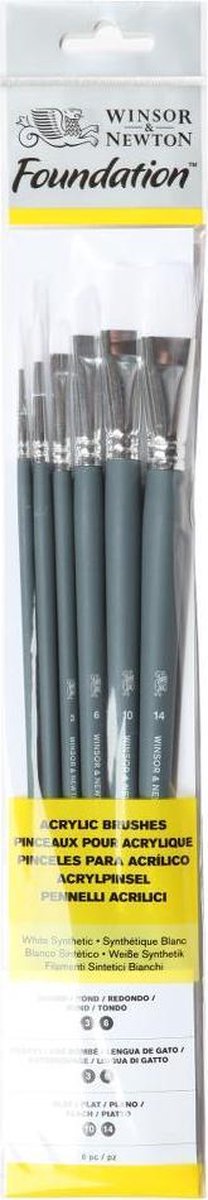 Winsor Newton 5295008 Foundation-Acrylpinsel-Set – langer Griff – 6-teilig (rund, Filbert Flat) für Acryl-Ölmalerei