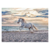 Ravensburger Horse on the Beach Ben Puzzle 500st.