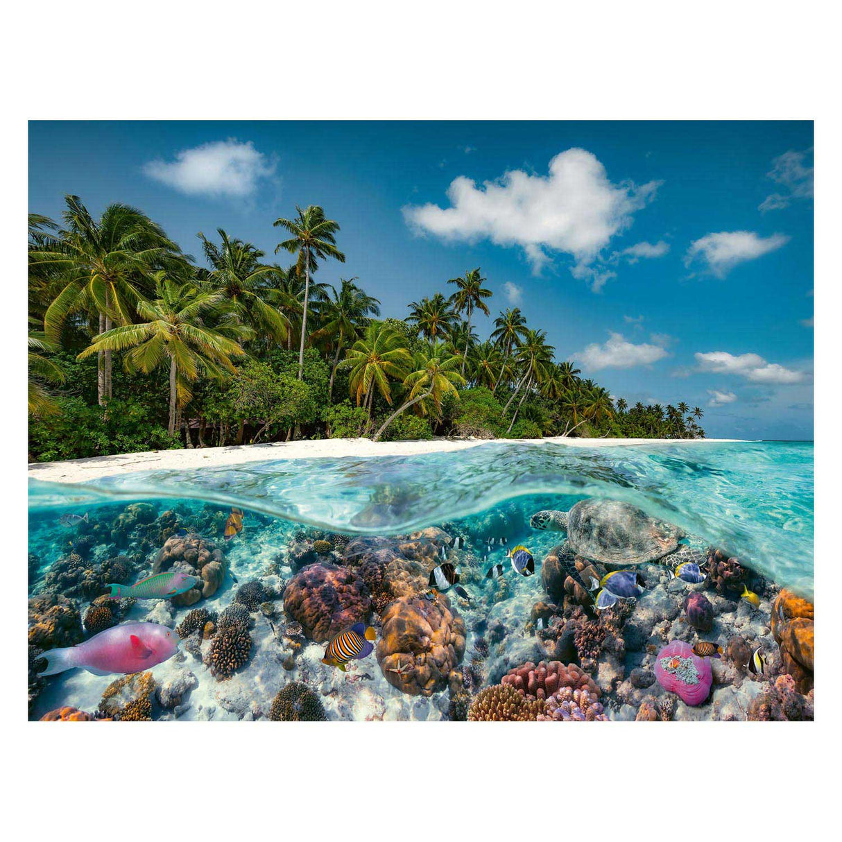 Ravensburger Puzzle A Dive on the Maldives, 2000st.