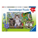 Ravensburger jigsaw puzzle young kittens, 3x49st.