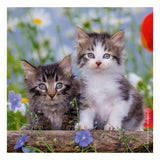 Ravensburger Jigsaw Puzzle Young Kätzchen, 3x49st.