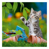 Ravensburger jigsaw puzzle young kittens, 3x49st.