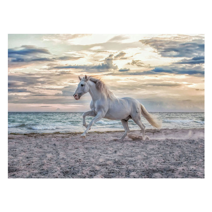 Ravensburger Jigsaw Puzzle Horse sur la plage, 500e.