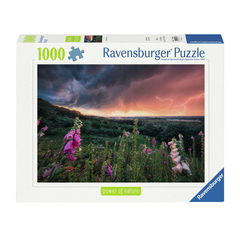 Ravensburger Jigsaw Puzzle Ein Sturm Se Auf, 1000st.