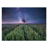 Ravensburger Jigsaw Puzzle Night Him.ber Dem Kornfeld, 1500st.