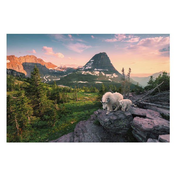 Ravensburger Puzzle Almbock mit Baby, 3000 Teile.