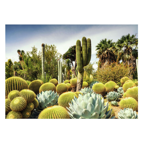 RAVENSBURGER JETINGTON DESERT GARDEN, 1000st.