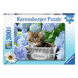 Ravensburger Puzzle de puzzle xxl petit chaton, 300e.