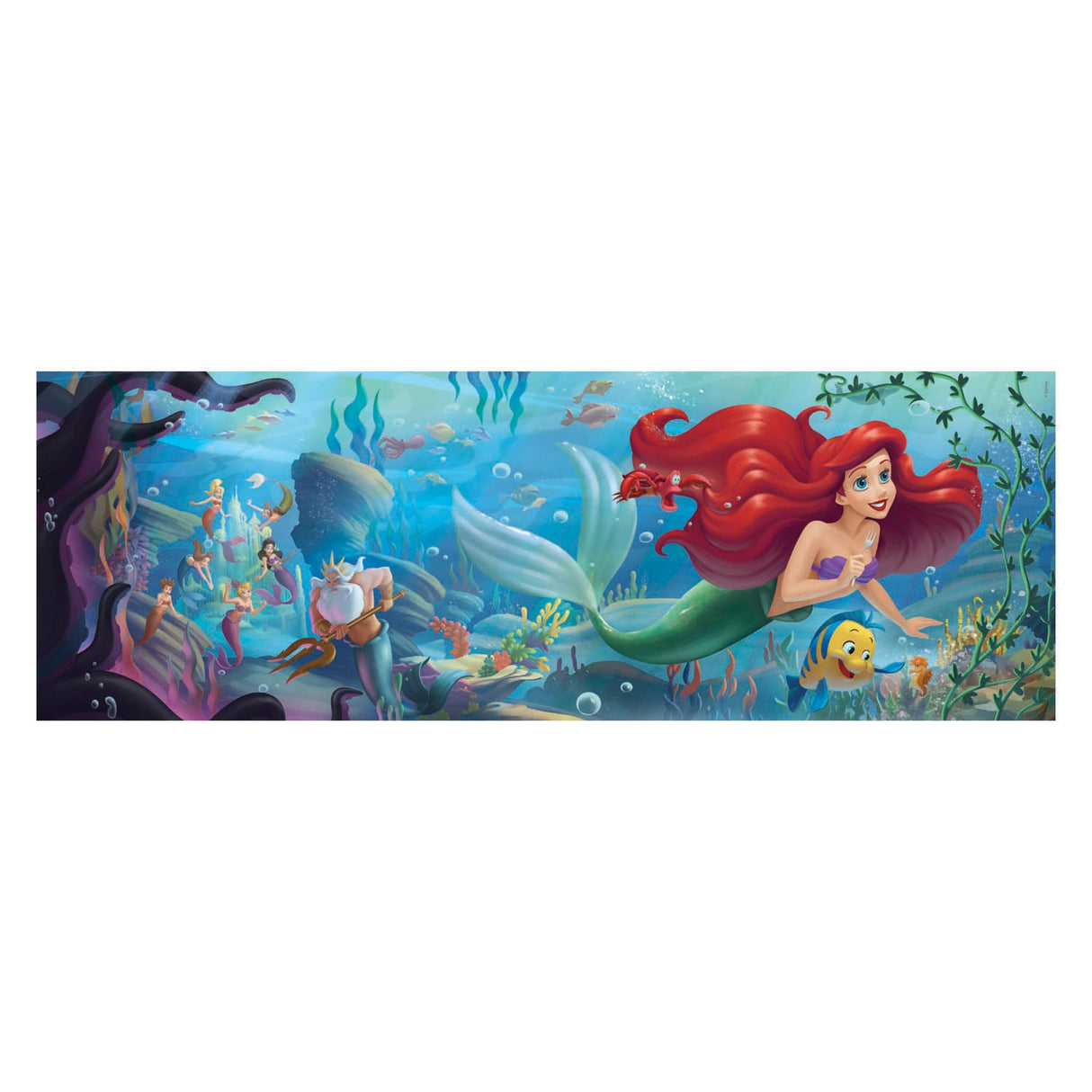 Clementoni Panorama Puzzle Disney Princess, 1000st.