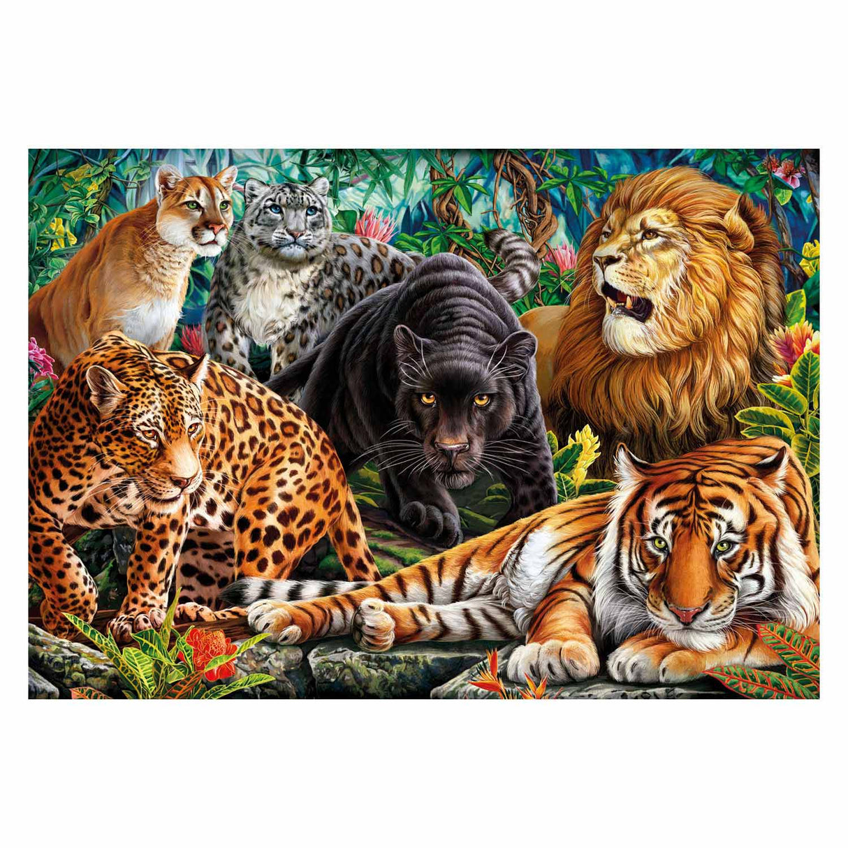 Clementoni Puzzle Wilde Fette, 500st.