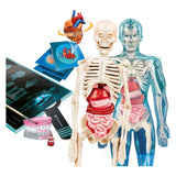 Clementoni Wissenschaftsspiel – Superanatomie – Der menschliche Körper – Lernspielzeug – ab 8 Jahren